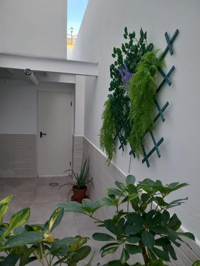 Apartamentos De La Haya & Suite Con Jacuzzi, Junto Al Teatro Romano Merida Exterior photo